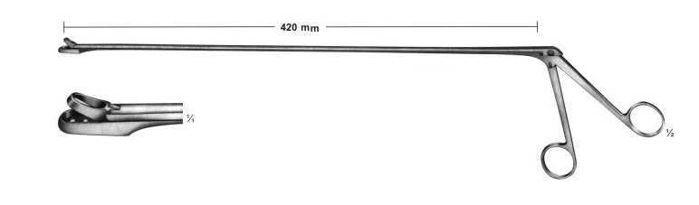 Biopsy forceps for rectum